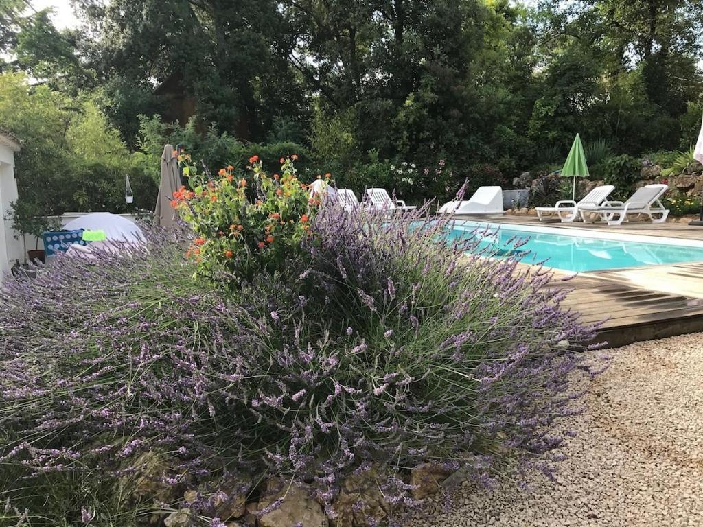 Villa Oha Close Cannes,Nice, Valbonne , Opio Roquefort Les Pins Bagian luar foto