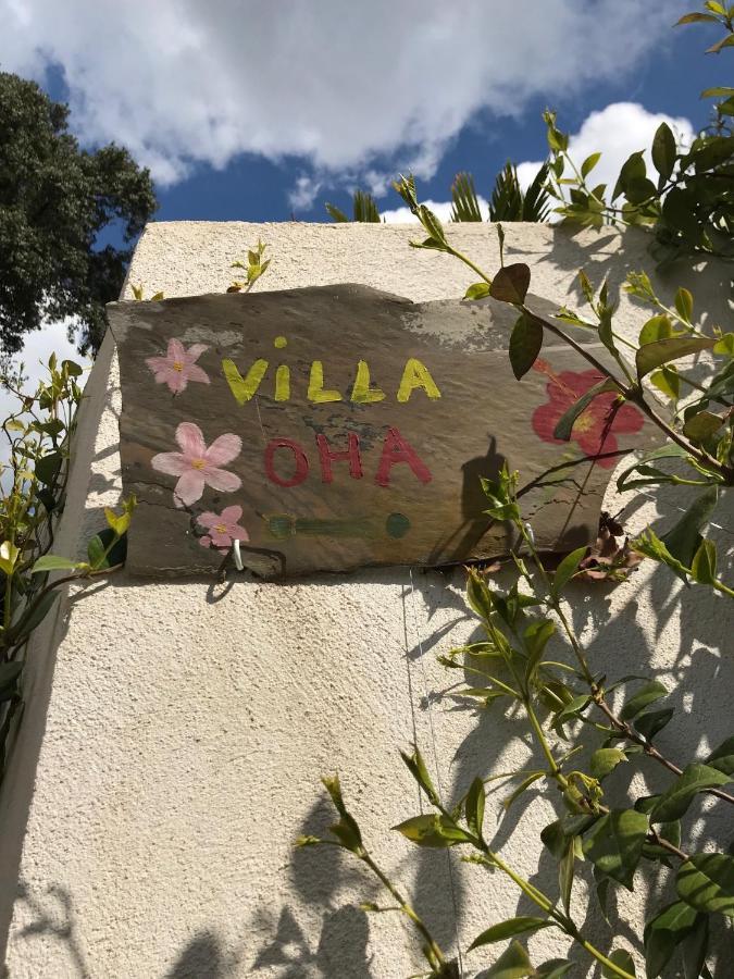 Villa Oha Close Cannes,Nice, Valbonne , Opio Roquefort Les Pins Bagian luar foto